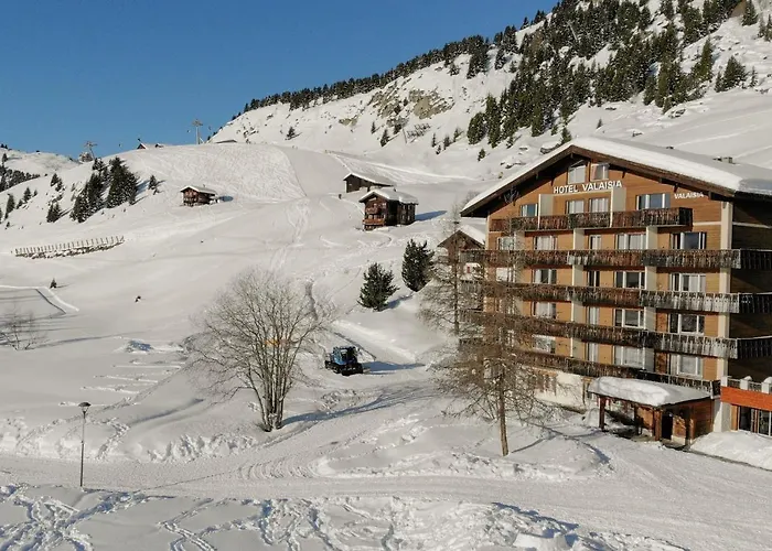 Valaisia 134 * Riederalp